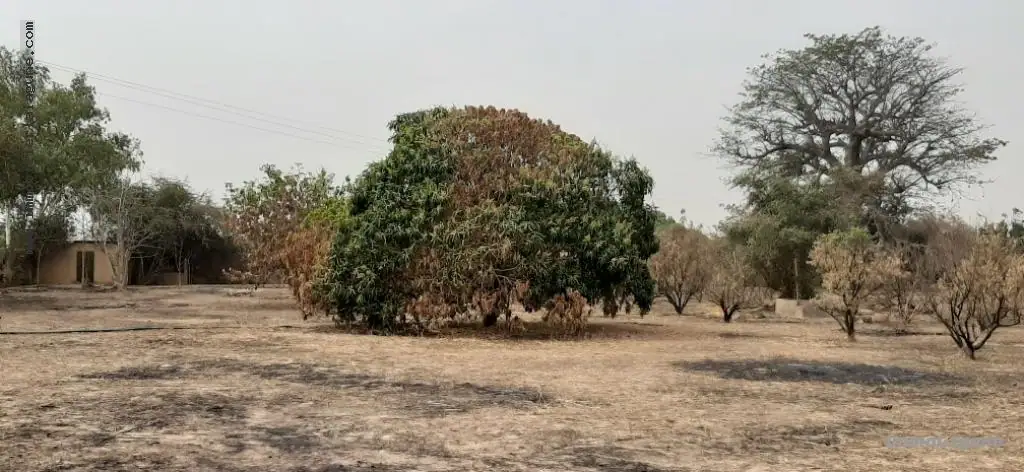 Terrain à Ngaparou — référence T2598