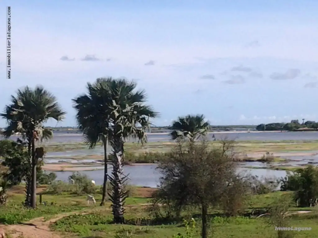 Terrain à Ndangane — photo 3