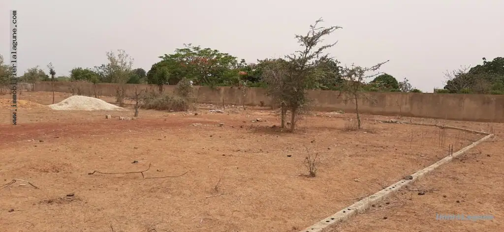 Terrain à Nguerigne — référence T2665