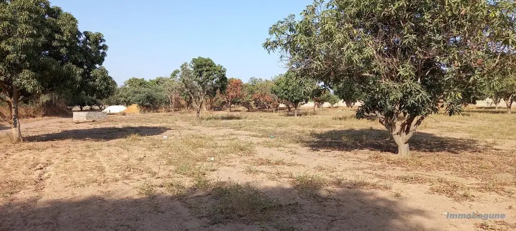 Terrain 2 983 m² à Ngaparou — photo 5