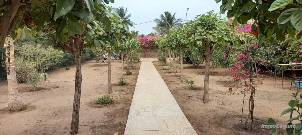 Terrain 1 041 m² à Saly — photo 3