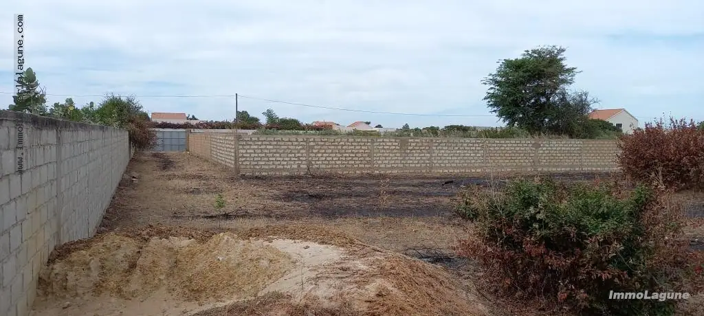 Terrain 1 700 m² à N'diorokh — photo 3