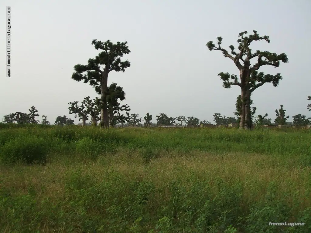 Terrain 13 260 m² à Nguekhokh — photo 4