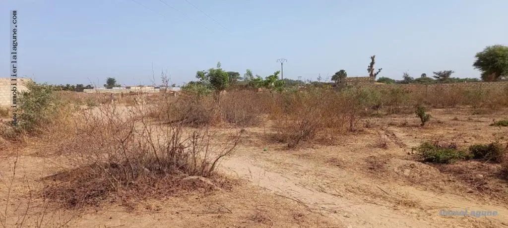 Terrain 1 767 m² à N'diorokh — photo 2