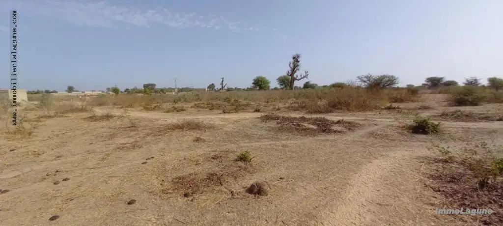 Terrain 1 767 m² à N'diorokh — photo 4