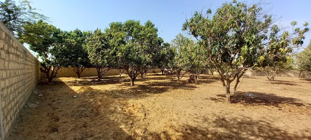 Terrain à Ngaparou — référence T2725