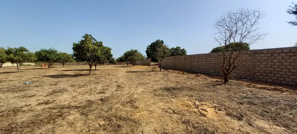 Terrain 1 525 m² à Ngaparou — photo 5