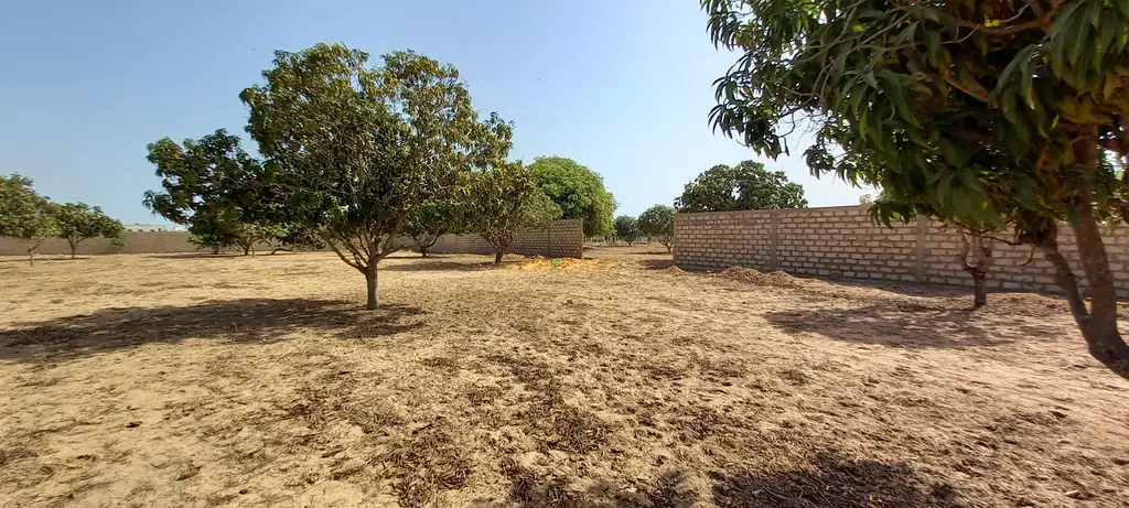 Terrain 1 525 m² à Ngaparou — photo 3