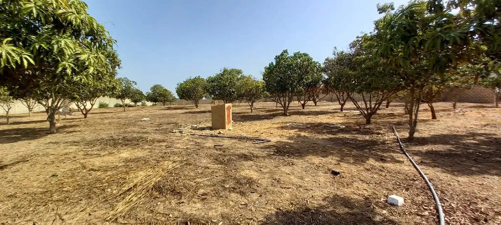 Terrain à Ngaparou — référence T2728
