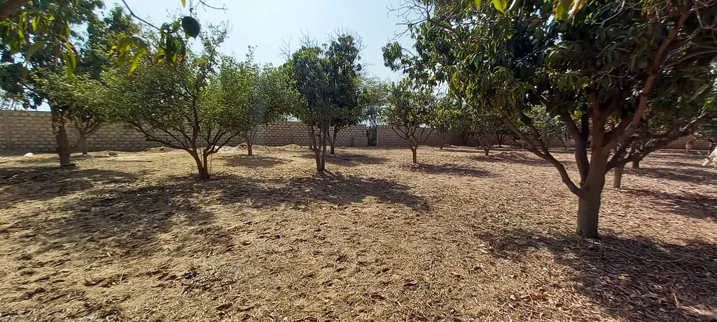 Terrain 1 784 m² à Ngaparou — photo 2