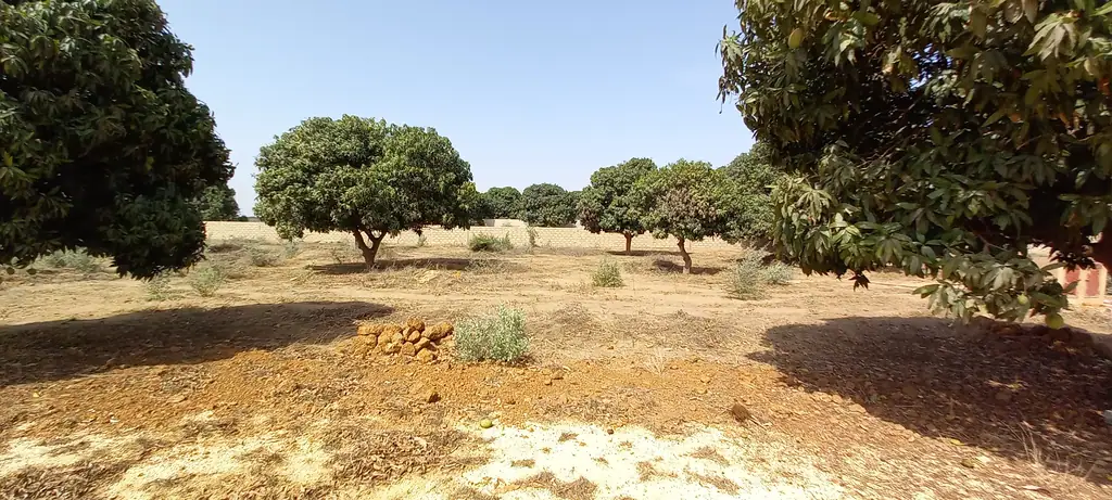 Terrain 1 578 m² à Ngaparou — photo 5