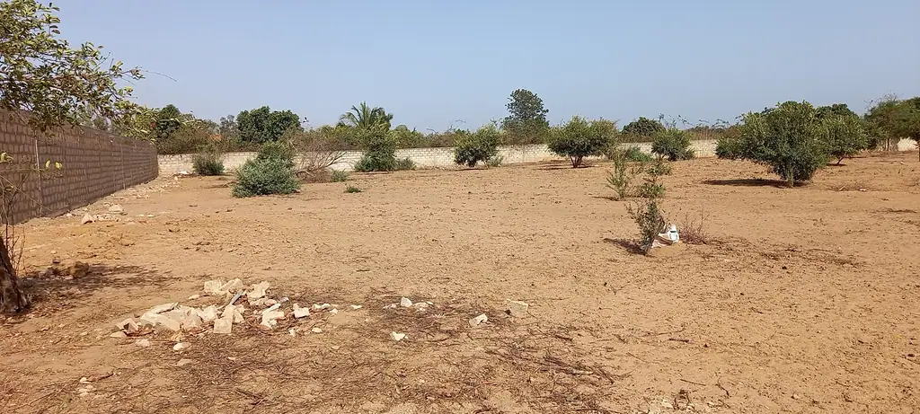Terrain 4 000 m² à Ngaparou — photo 4