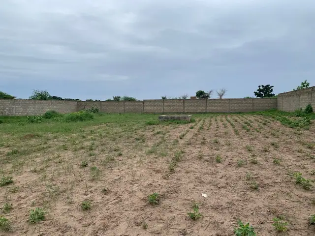Terrain à Mbaling — référence T2805