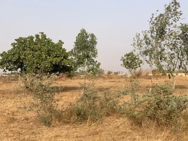 Terrain à Nguerigne — référence T2806