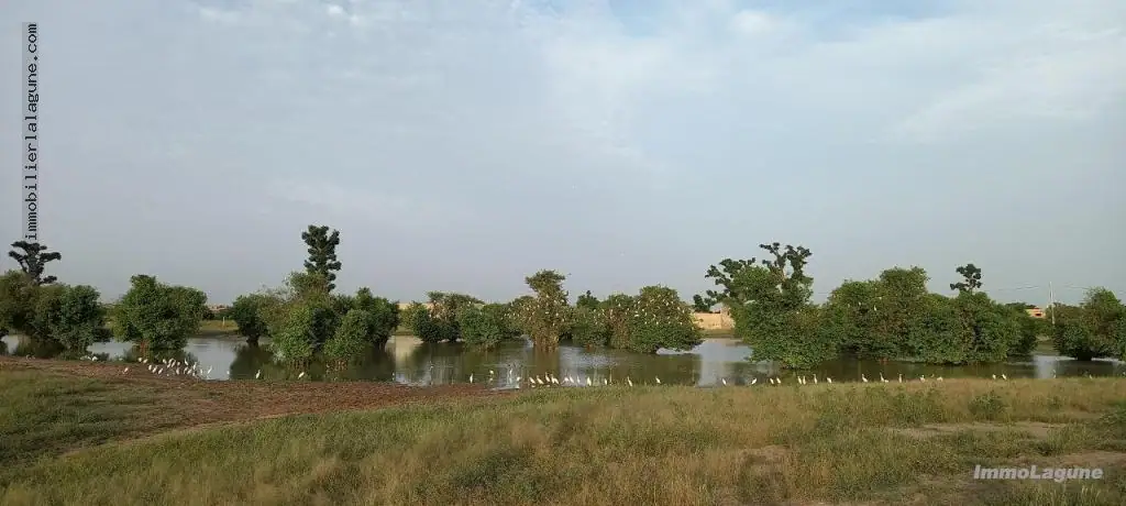 Terrain à Gandigal — référence T2511