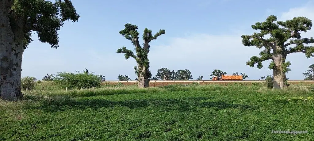 Terrain à Nguekhokh — référence T2911