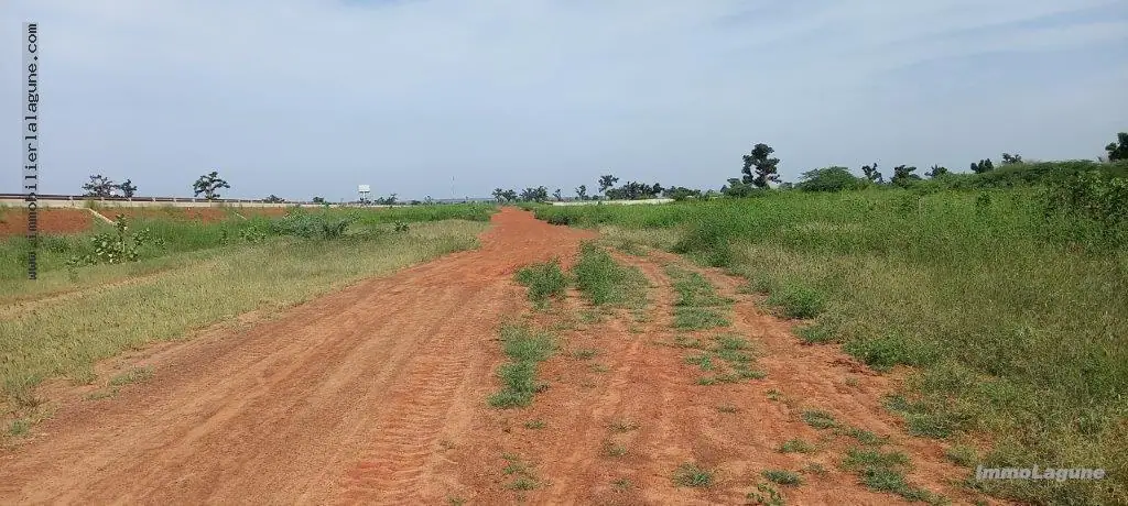 Terrain 17 300 m² à Nguekhokh — photo 3