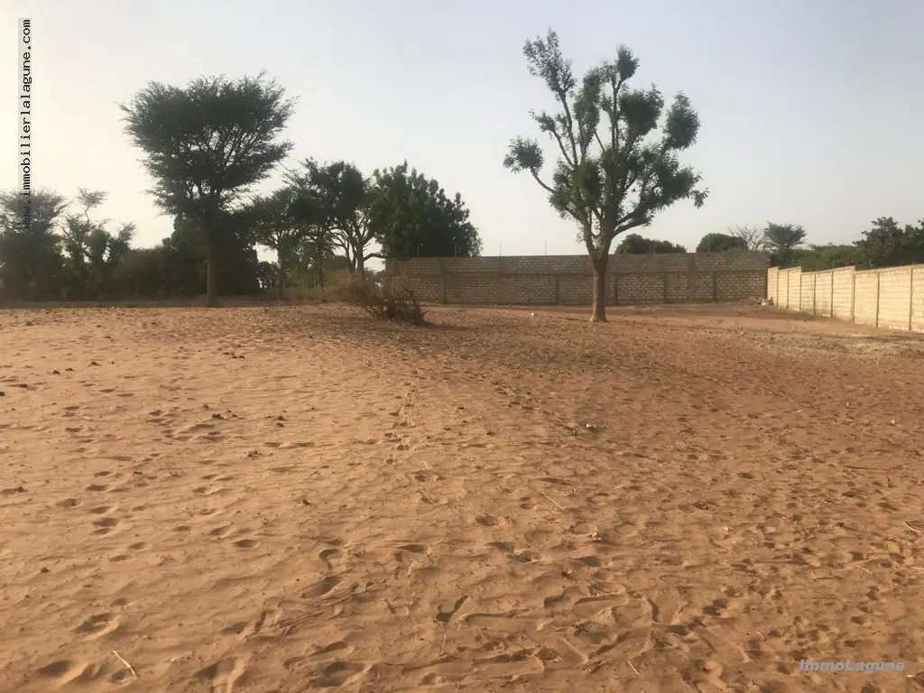 Terrain à Nguerigne — référence T2919
