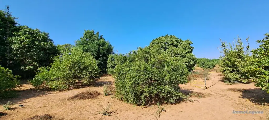 Terrain à N'diorokh — référence T2980