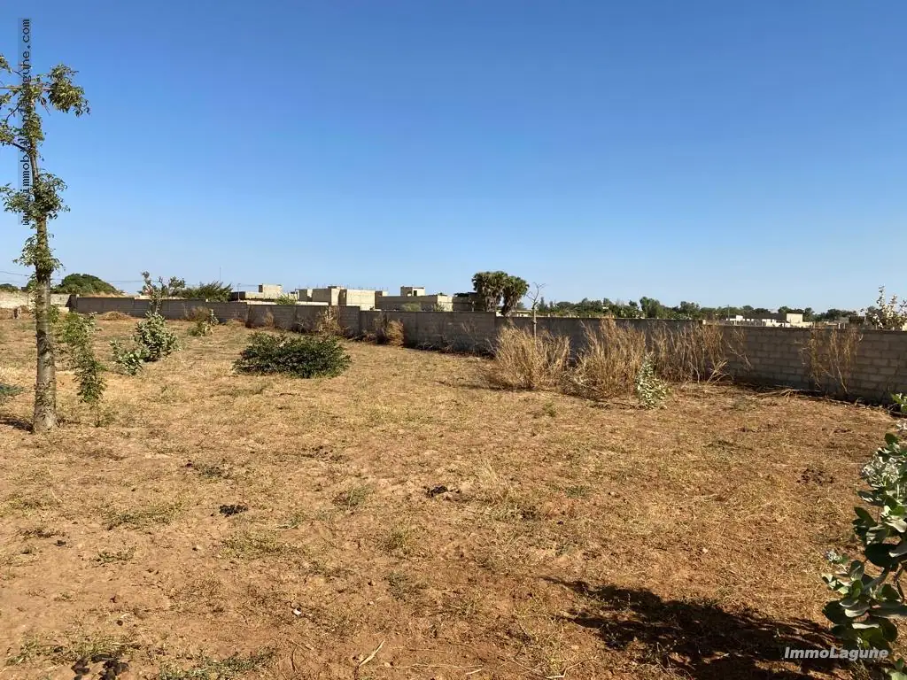 Terrain à Nguerigne — référence T3061
