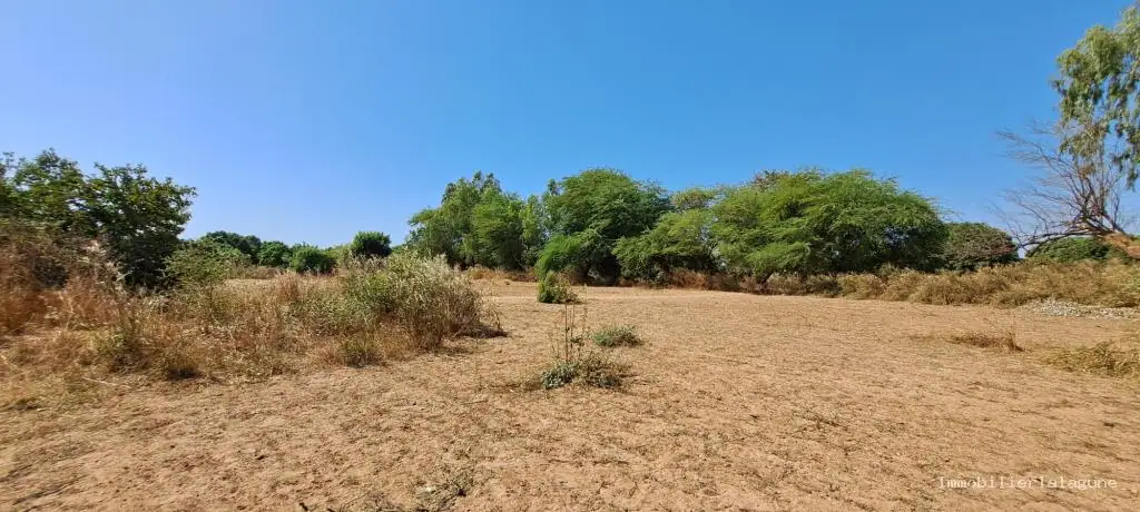 Terrain 18 000 m² à Nguekhokh — photo 2