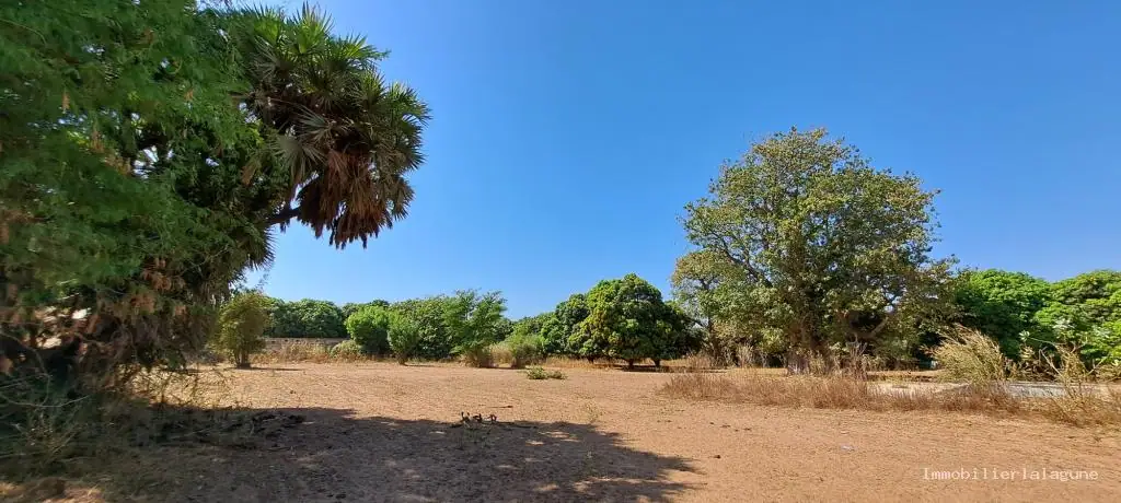 Terrain 18 000 m² à Nguekhokh — photo 3