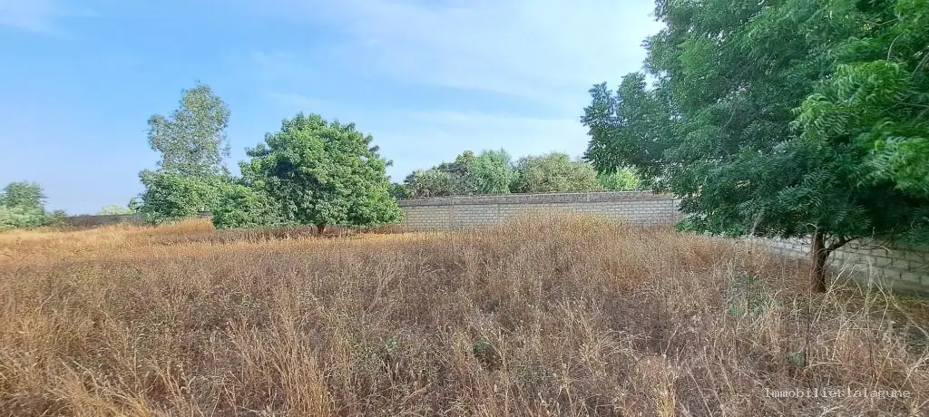 Terrain à Nguerigne — référence T3109