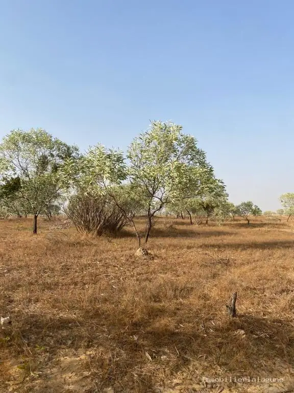 Terrain 7 000 m² à Sine saloum — photo 2