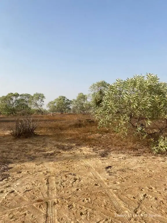 Terrain 7 000 m² à Sine saloum — photo 4
