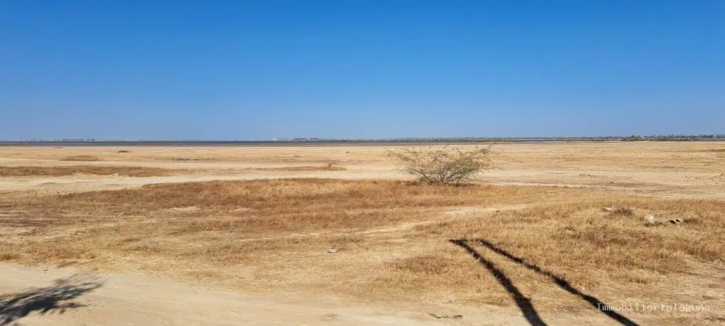 Terrain à Ndangane — référence T3153