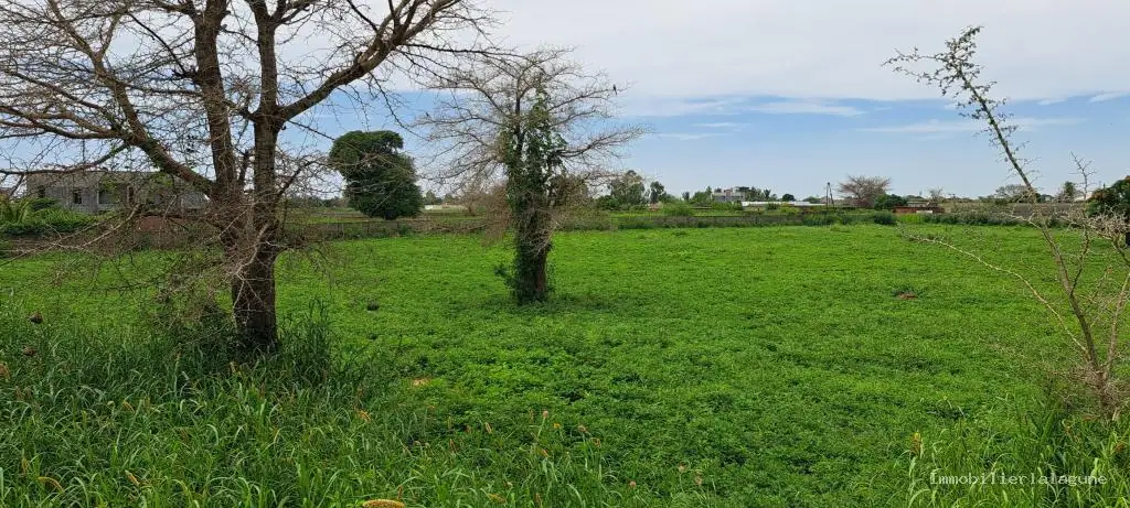 Terrain à Nguerigne — référence T3172