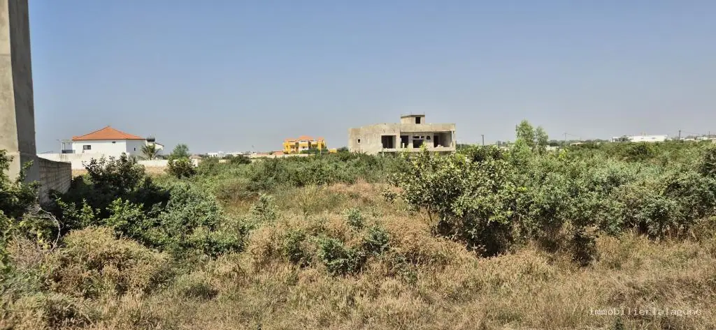 Terrain 500 m² à N'diorokh — photo 3