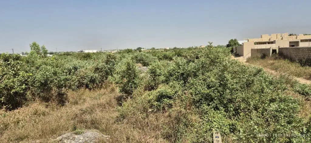 Terrain 500 m² à N'diorokh — photo 2