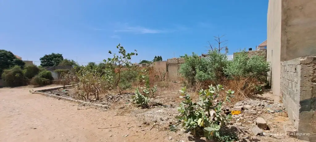 Terrain 500 m² à Saly — photo 3