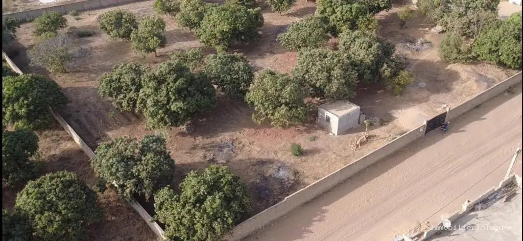 Terrain à Gandigal — référence T3344